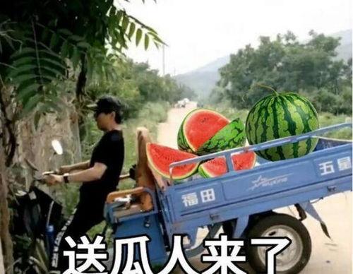 最近大瓜事件,揭秘明星隐私风波背后的真相-第1张图片-亚洲高清影视网