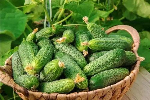 最近大瓜事件,揭秘明星隐私风波背后的真相-第2张图片-亚洲高清影视网