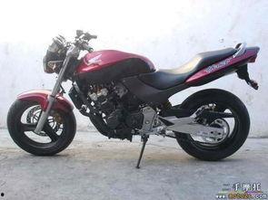 国产小黄蜂250视频,速度与激情的国产新篇章-第1张图片-亚洲高清影视网