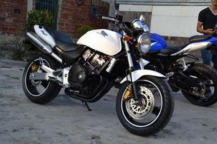 国产小黄蜂250视频,速度与激情的国产新篇章-第2张图片-亚洲高清影视网