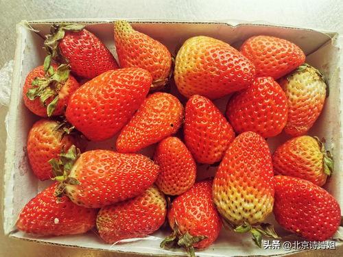 国产草莓视频888,探寻草莓种植的奥秘与魅力-第3张图片-亚洲高清影视网