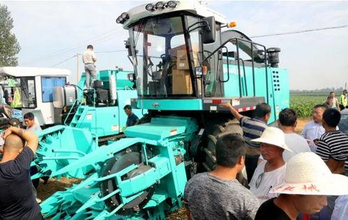 国产青贮收割机割台视频,国产青贮收割机割台高效作业实况解析-第2张图片-亚洲高清影视网 国产青贮收割机割台视频,国产青贮收割机割台高效作业实况解析-第2张图片-亚洲高清影视网