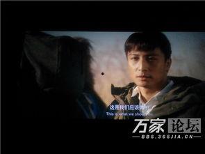 国产电影煽情吐槽视频播放,笑中带泪的观影体验揭秘-第3张图片-亚洲高清影视网