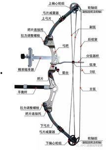 国产复合弓试射视频播放-第1张图片-亚洲高清影视网