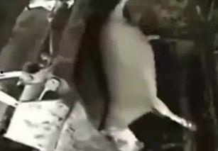 韩国产品被搅碎视频-第1张图片-亚洲高清影视网 韩国产品被搅碎视频-第1张图片-亚洲高清影视网