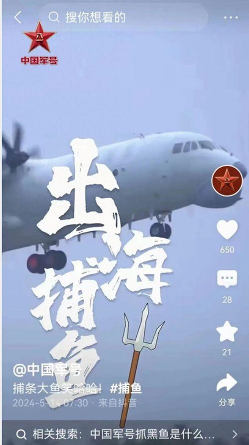 国产黑鱼大战黑鱼视频,一场视觉与技术的较量-第3张图片-亚洲高清影视网