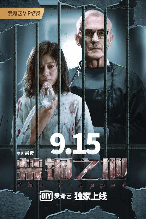 国产剧情片视频推荐,情感纠葛与时代变迁的交织-第3张图片-亚洲高清影视网