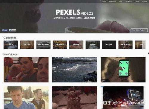 国产成人人网站视频3d-第2张图片-亚洲高清影视网