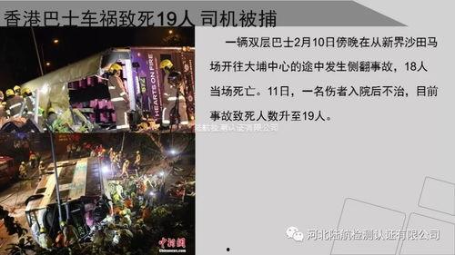 国产雪茄砍价事件视频大全,视频大全揭秘价格博弈幕后-第2张图片-亚洲高清影视网