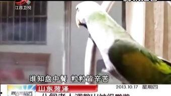 国产丝袜调教男奴视频-第2张图片-亚洲高清影视网